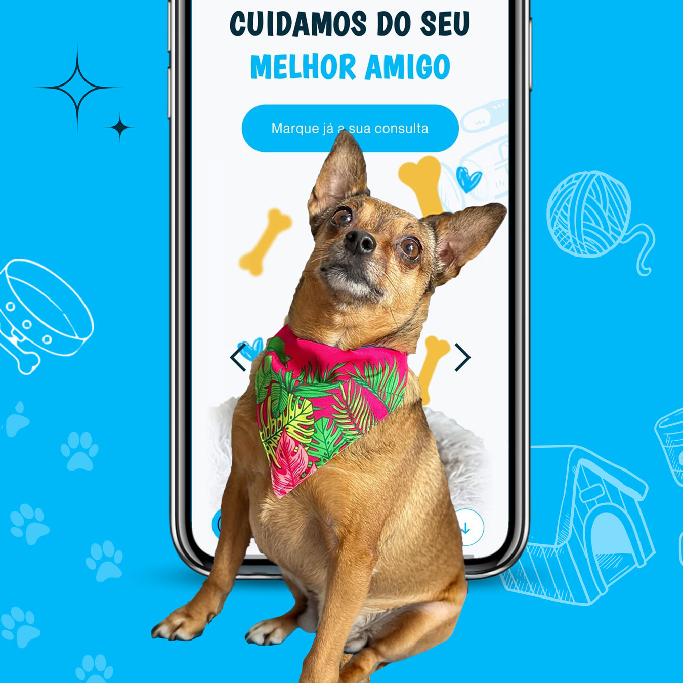 Clínica Veterinária de São Gonçalo - website, app e e-commerce para clínica veterinária nos Açores